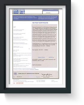 bosun lighting Solar Street Light cb Certification